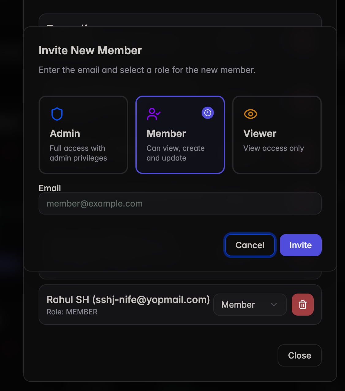 Invite New Member modal with role selection and email field